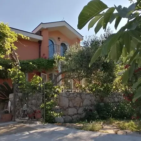 Hébergement de vacances Ferienhaus Olive Tree Gradac (Split-Dalmatia)