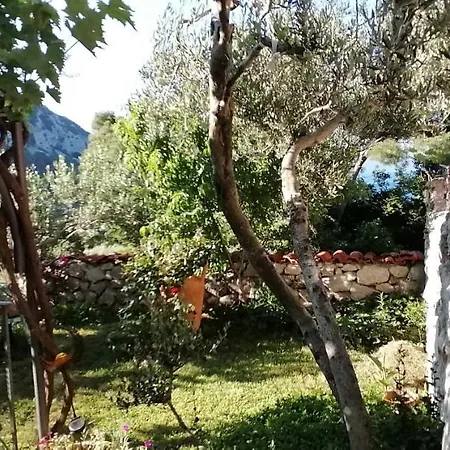 Ferienhaus Olive Tree Hébergement de vacances
