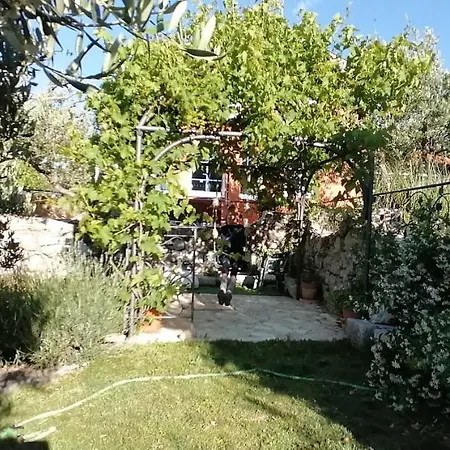 Ferienhaus Olive Tree Hébergement de vacances Gradac (Split-Dalmatia)