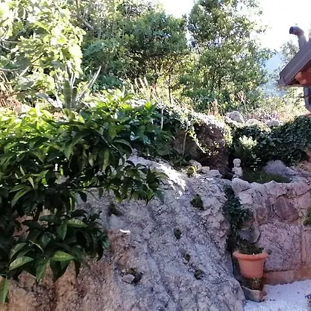 Ferienhaus Olive Tree * Gradac (Split-Dalmatia)