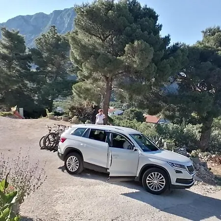 Ferienhaus Olive Tree Gradac (Split-Dalmatia)