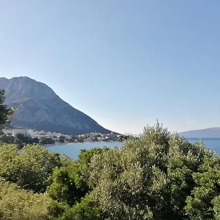 Hébergement de vacances Ferienhaus Olive Tree Gradac (Split-Dalmatia)
