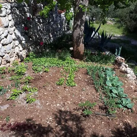 Ferienhaus Olive Tree Hébergement de vacances