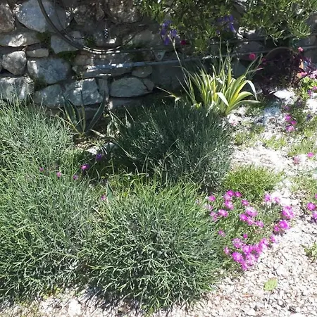Ferienhaus Olive Tree
