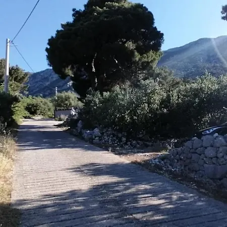 Ferienhaus Olive Tree * Gradac (Split-Dalmatia)