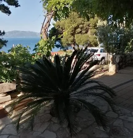 Ferienhaus Olive Tree Hébergement de vacances
