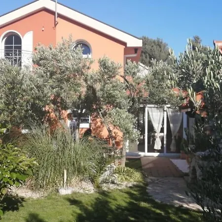 Hébergement de vacances Ferienhaus Olive Tree *