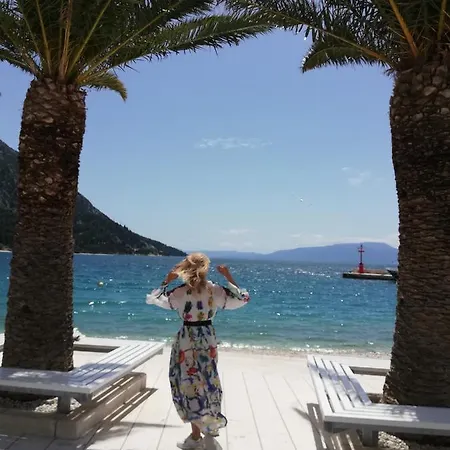 Hébergement de vacances Ferienhaus Olive Tree Gradac (Split-Dalmatia)
