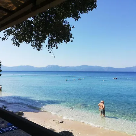 Ferienhaus Olive Tree Gradac (Split-Dalmatia)
