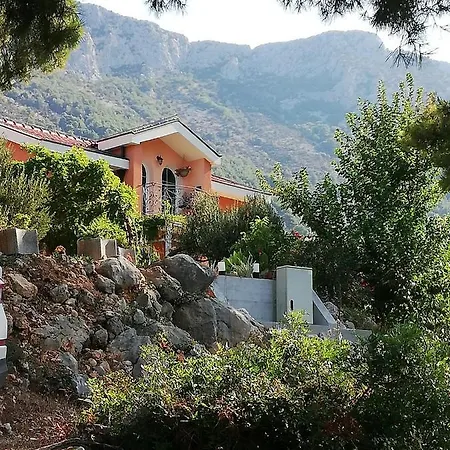 Hébergement de vacances Ferienhaus Olive Tree *