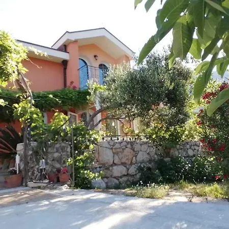 Hébergement de vacances Ferienhaus Olive Tree *