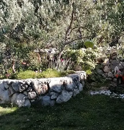 Ferienhaus Olive Tree Hébergement de vacances Gradac (Split-Dalmatia)