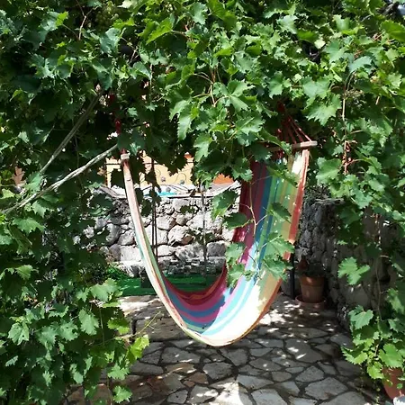 Hébergement de vacances Ferienhaus Olive Tree Gradac (Split-Dalmatia)