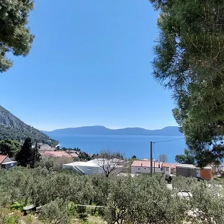 Hébergement de vacances Ferienhaus Olive Tree *