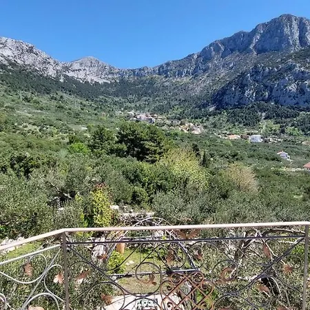 Ferienhaus Olive Tree
