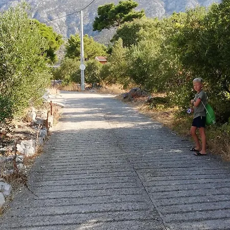 Ferienhaus Olive Tree Hébergement de vacances Gradac (Split-Dalmatia)