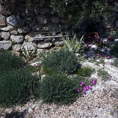Ferienhaus Olive Tree Gradac (Split-Dalmatia)