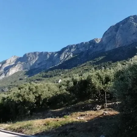 Ferienhaus Olive Tree Holiday home Gradac (Split-Dalmatia)