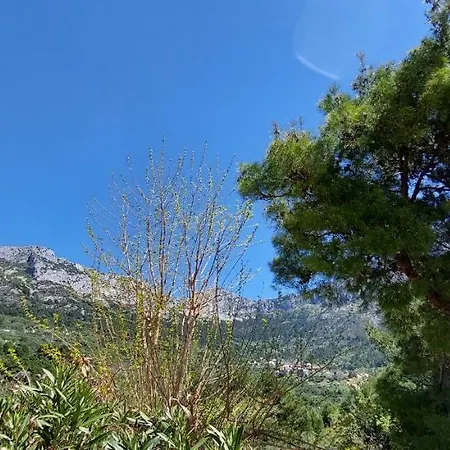 Ferienhaus Olive Tree Holiday home *