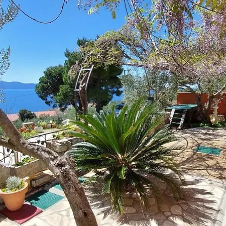 Ferienhaus Olive Tree * Gradac (Split-Dalmatia)